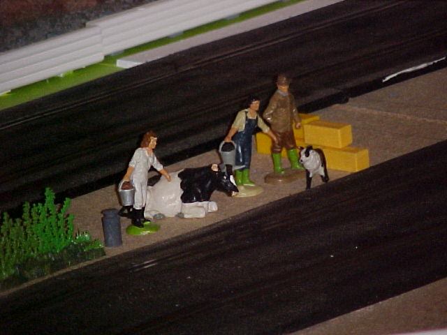 Small group standing by track