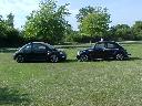 Some pictures of real Volkswagen Beetles