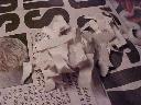 Ripped up newspaper